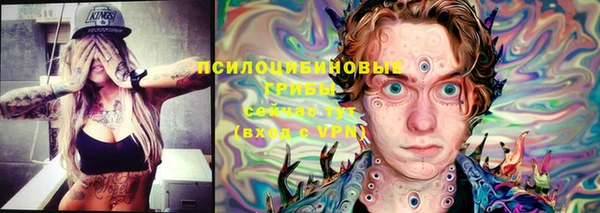 стаф Абинск