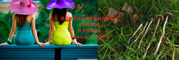 тгк Алзамай