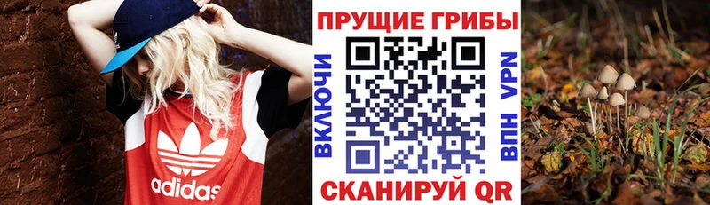 ссылка на мегу зеркало  Спас-Клепики  Псилоцибиновые грибы Psilocybe  хочу  